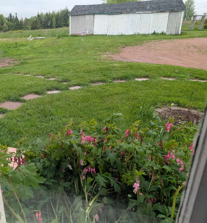 Acreage Living with Town Services and Amenities