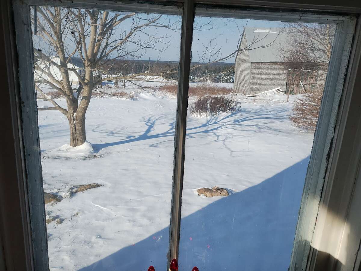 Living room view of garden and lute barn