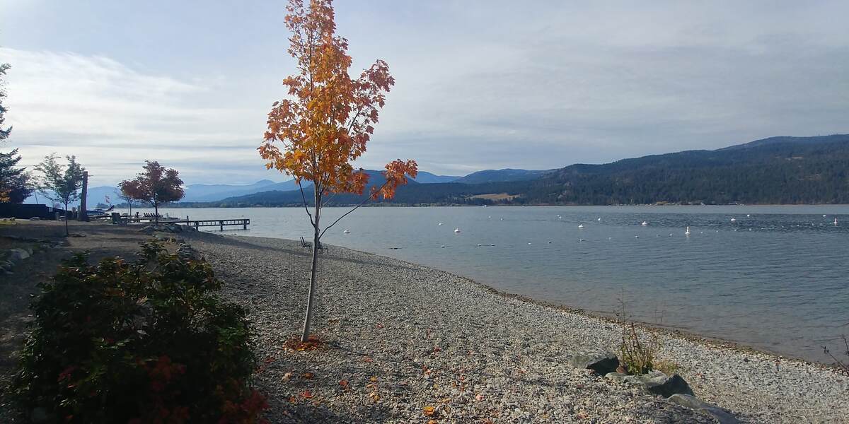 Vacant Land For Sale in Vernon, BC