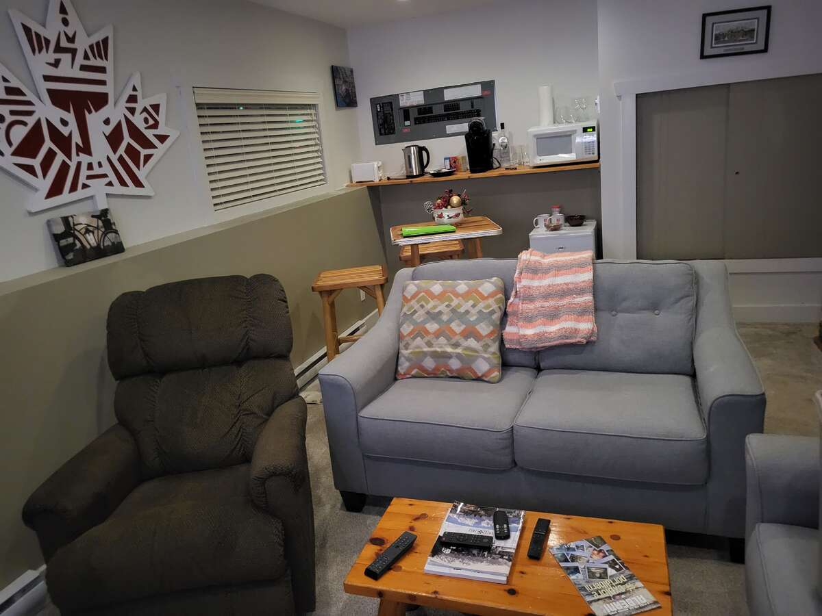 Lower level family room