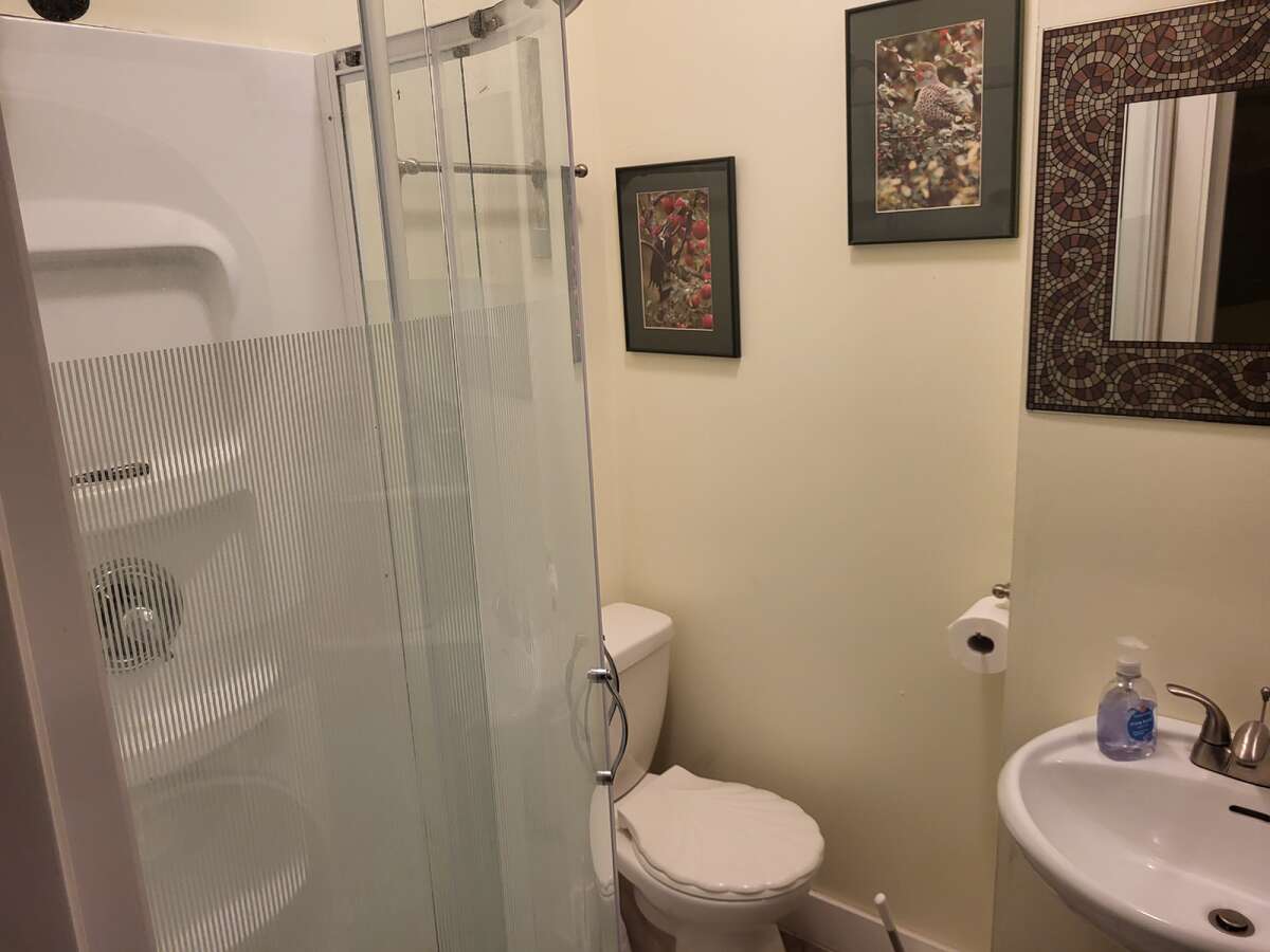 Lower level washroom