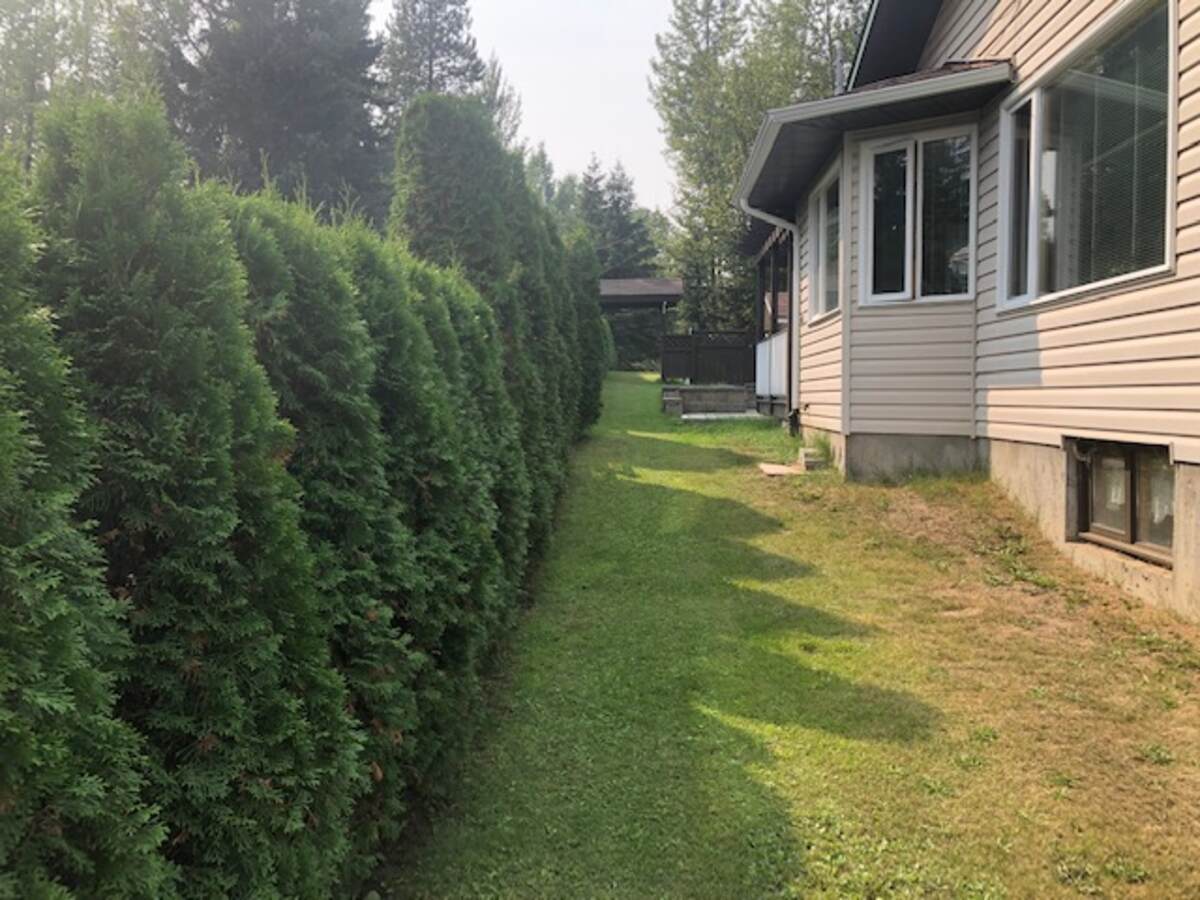 Left side of house