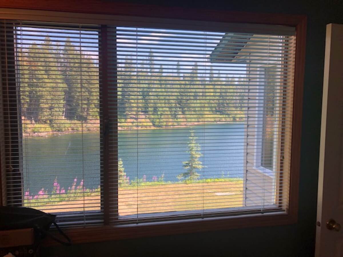 Ensuite window view