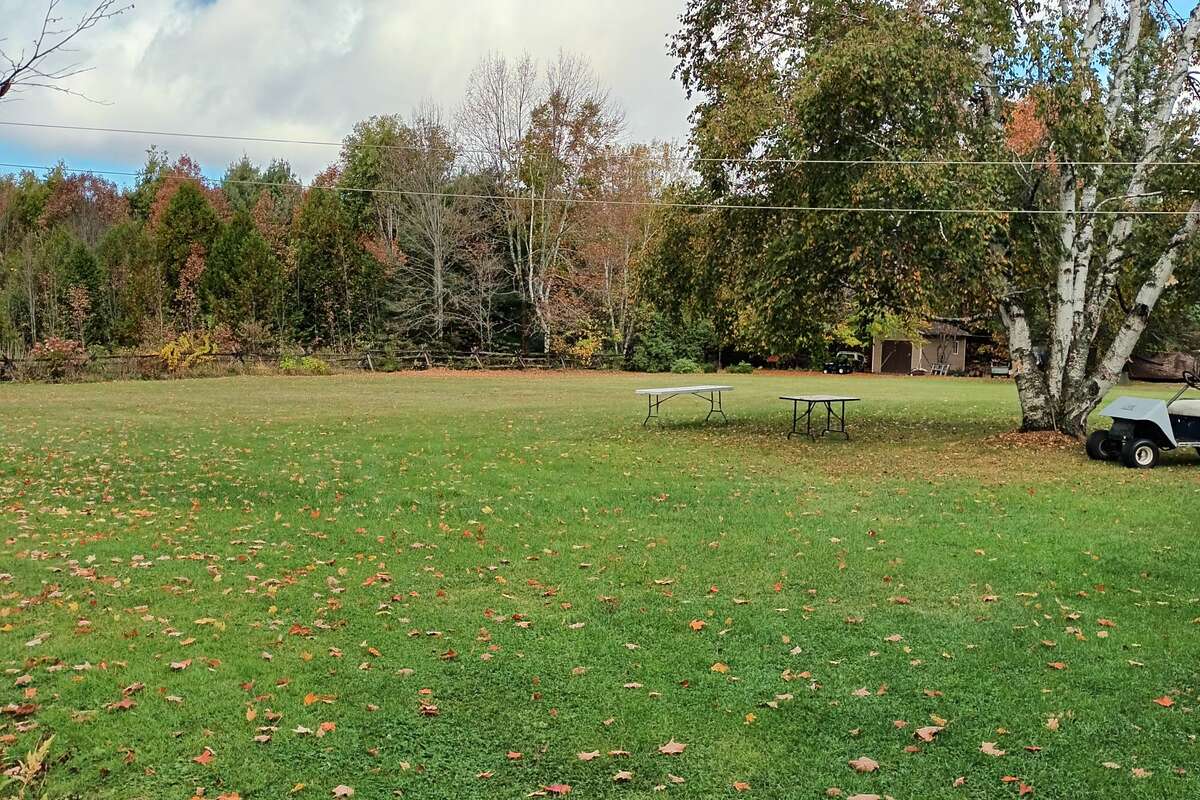 Huge level back yard