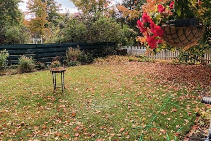 Front yard