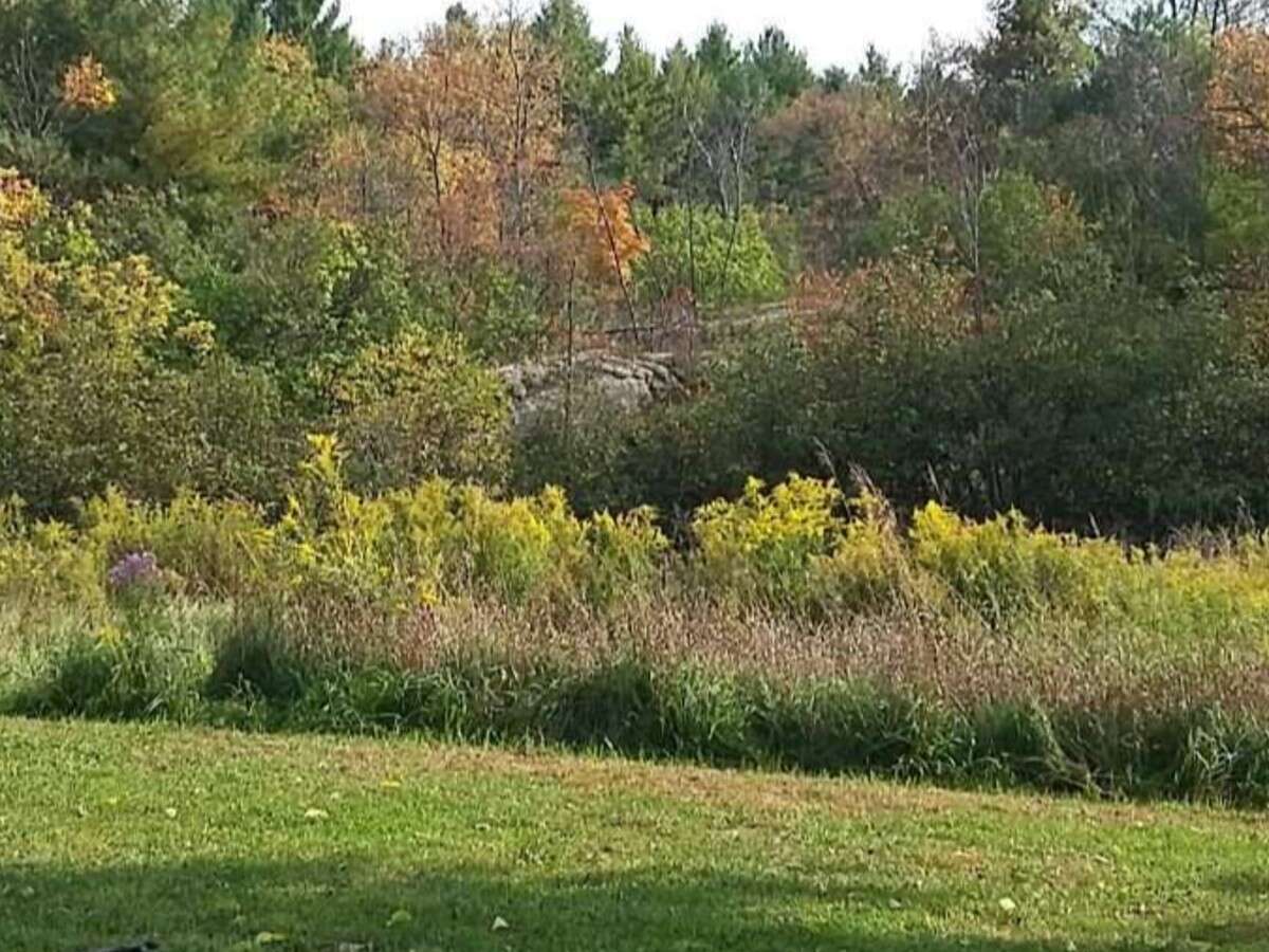Private Established Property!