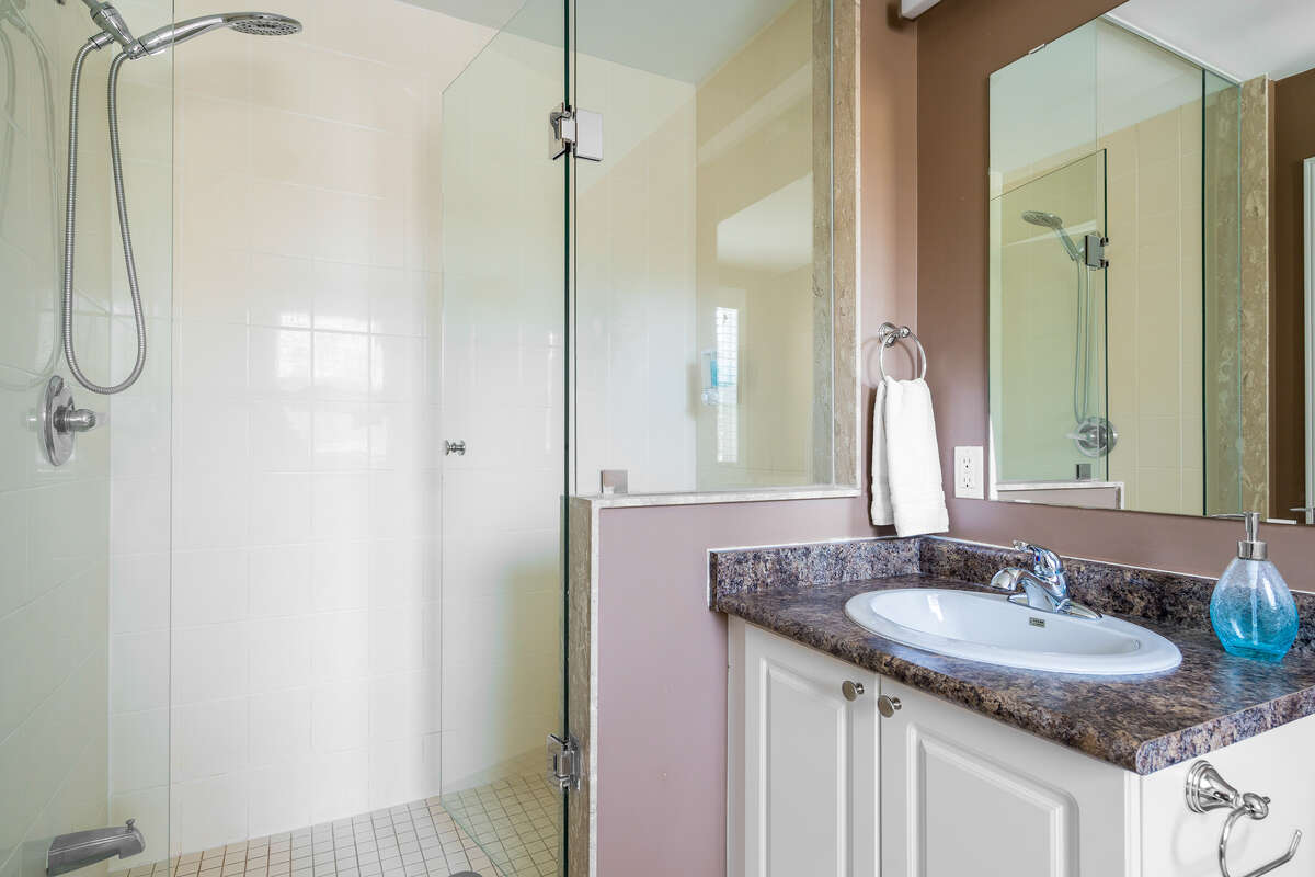 Master Bathroom Shower