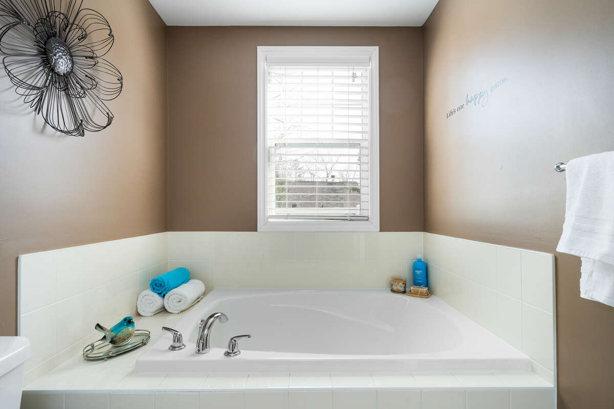 Master Bathroom Soaker Tub