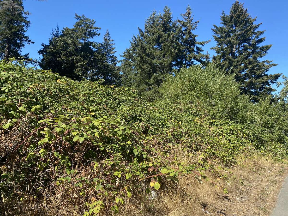 Vacant Land For Sale in Victoria, BC