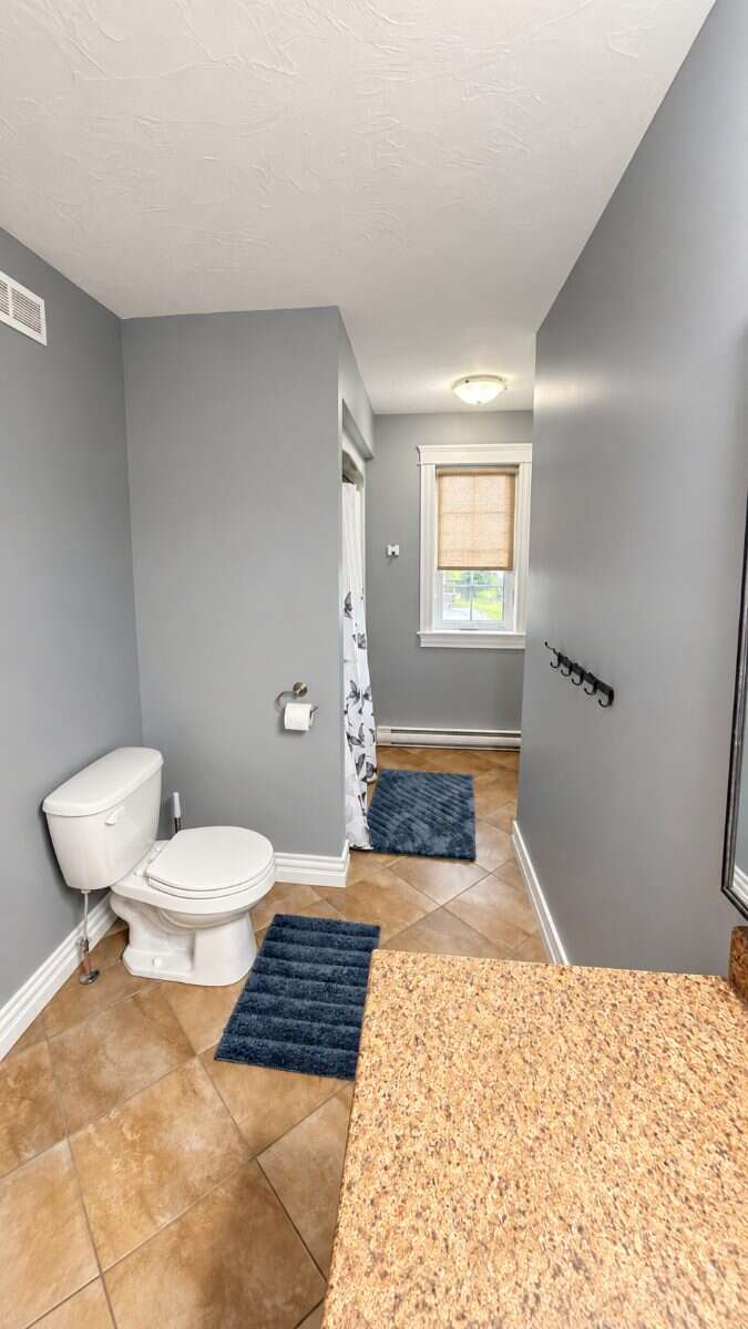 3+1 Bed Semi-Detached | Fin Basement / Riverview