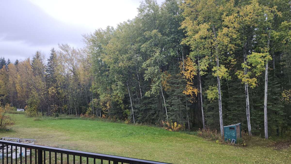 Back view from decking