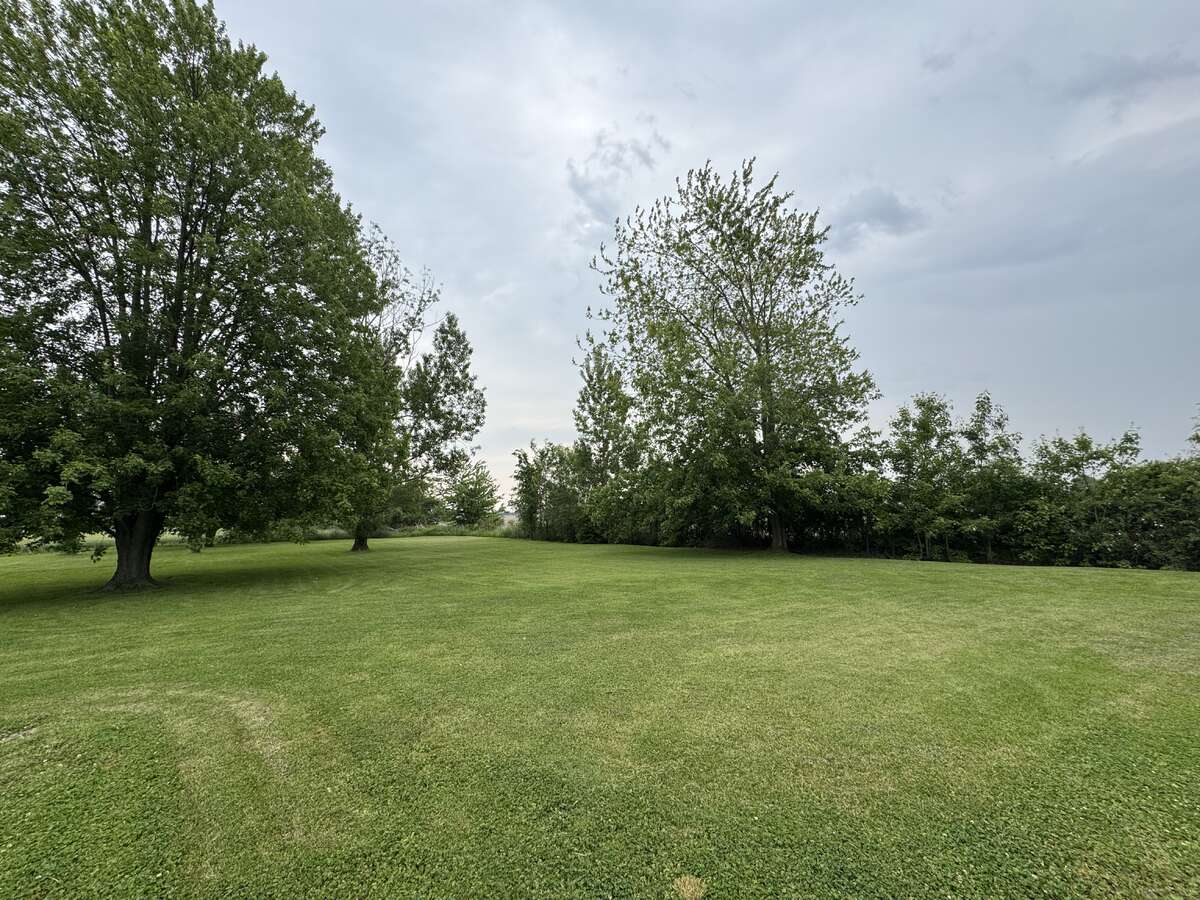 view from behind the garage