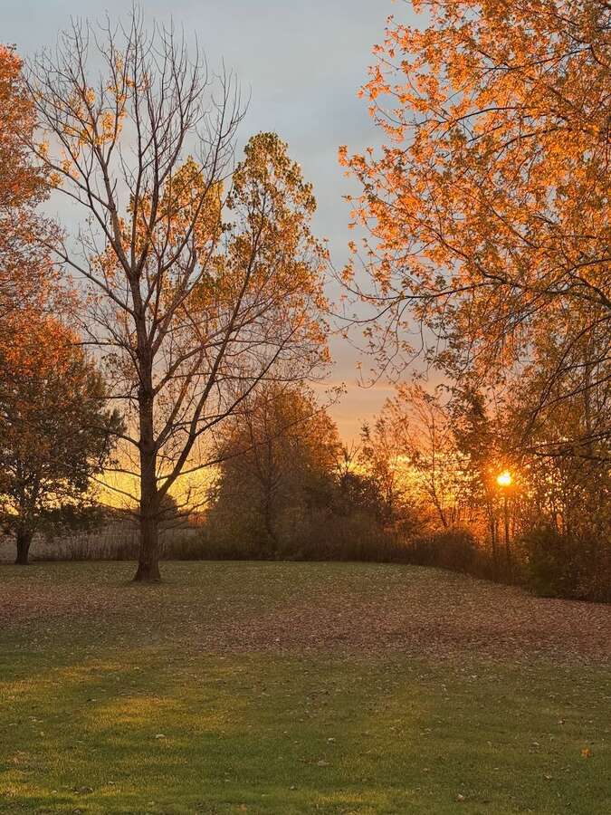 new front door (Jan 2026)