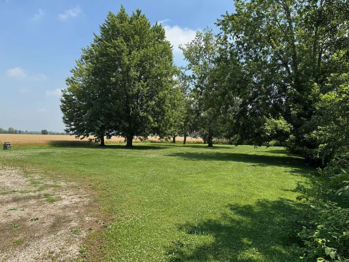 view from north side