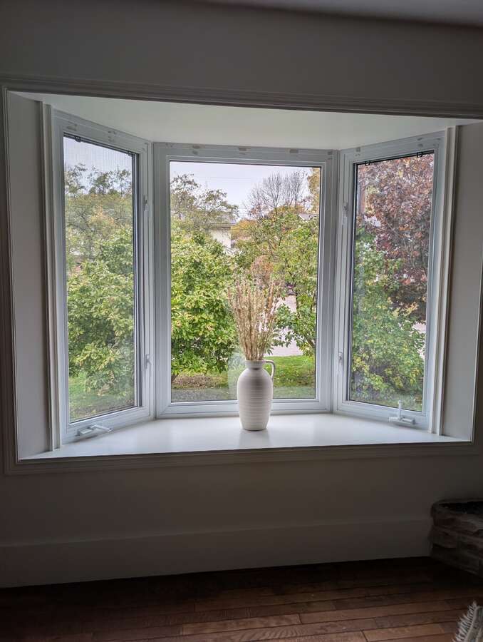 Beautiful magnolia tree in front yard gorgeous every spring