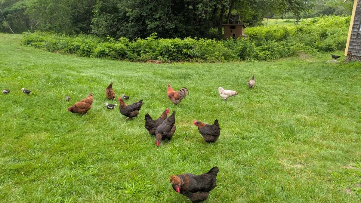 Rural Retreat