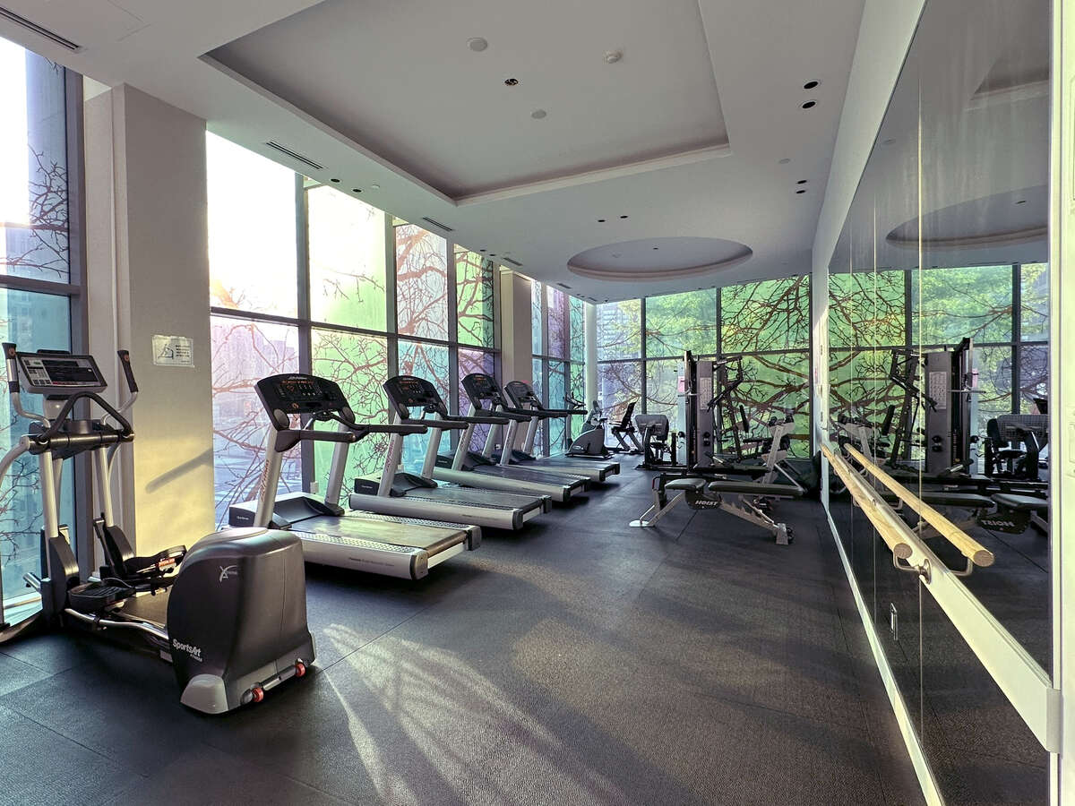 South West View of CN tower