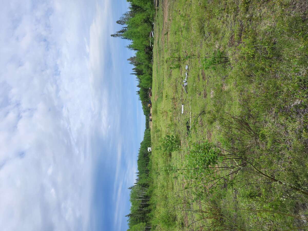 166 Acre Off Grid