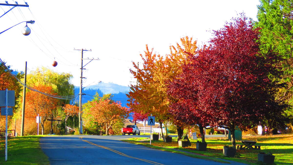 Autumn in Port Alice