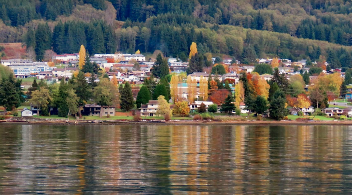 Port Alice Village