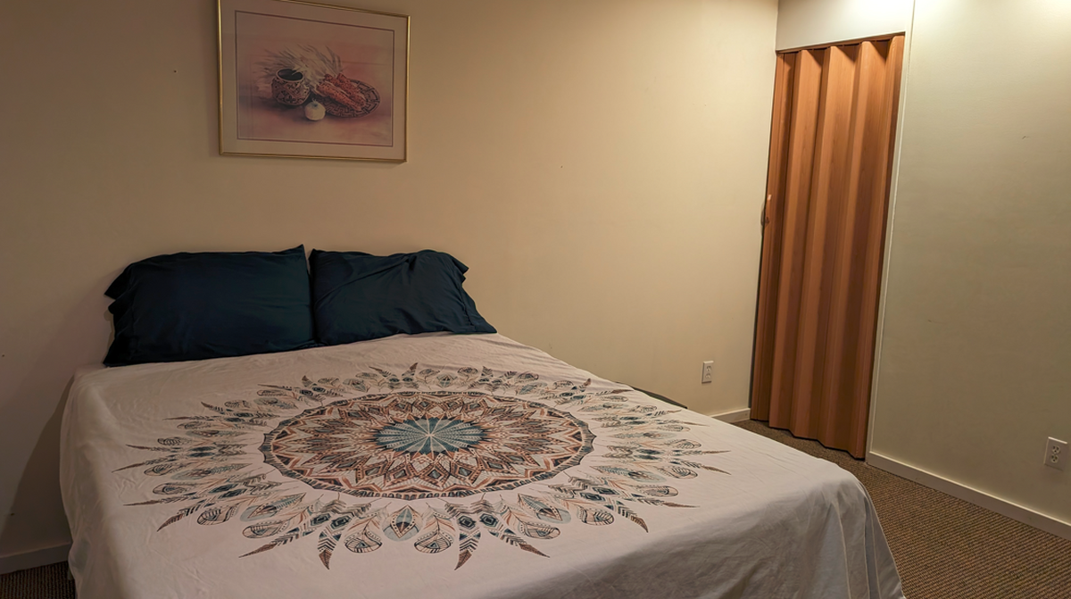 Master Bedroom Lower Level With Sprinkler System