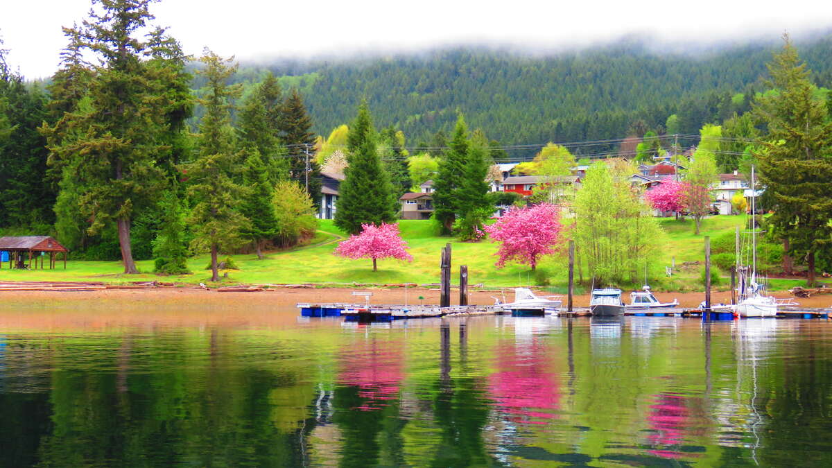 Port Alice Marina and Yacht Club Docks