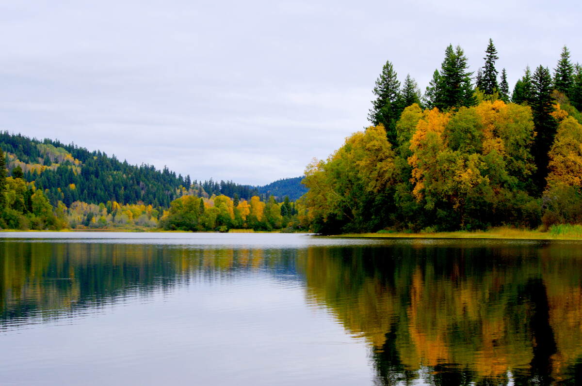 Beaver Lake looking South
