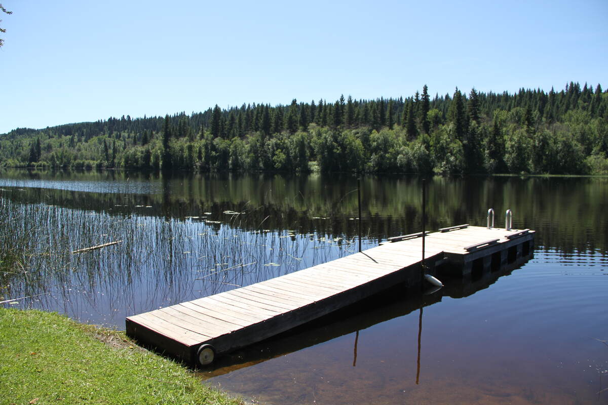 lake front (150 ft) with cedar dock with ladder and ramp, southern sun exposure