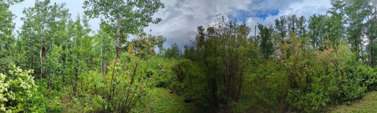 Beautiful vacant acreage lot!