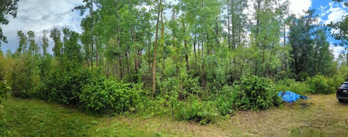 Beautiful vacant acreage lot!