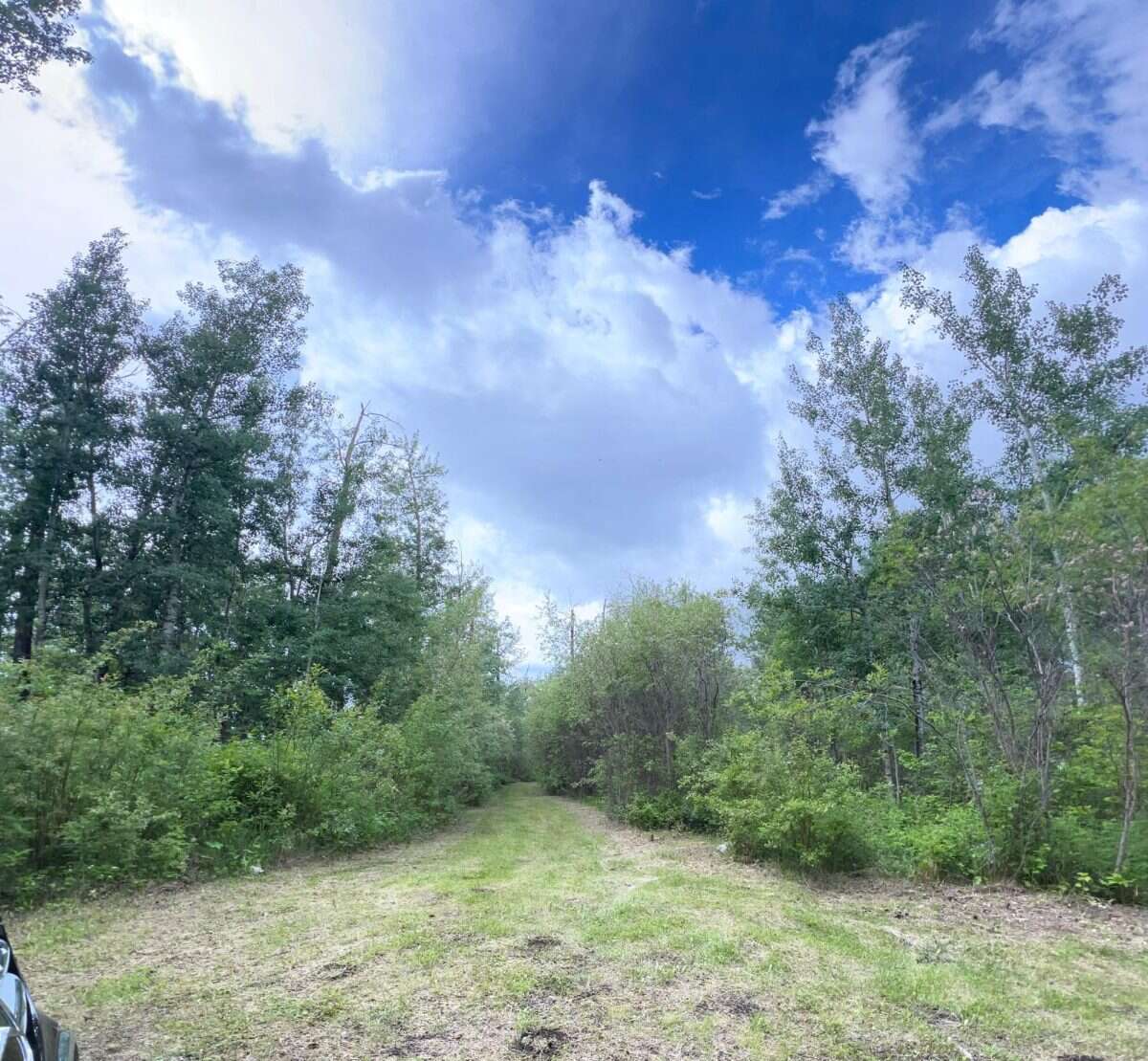 Beautiful vacant acreage lot!