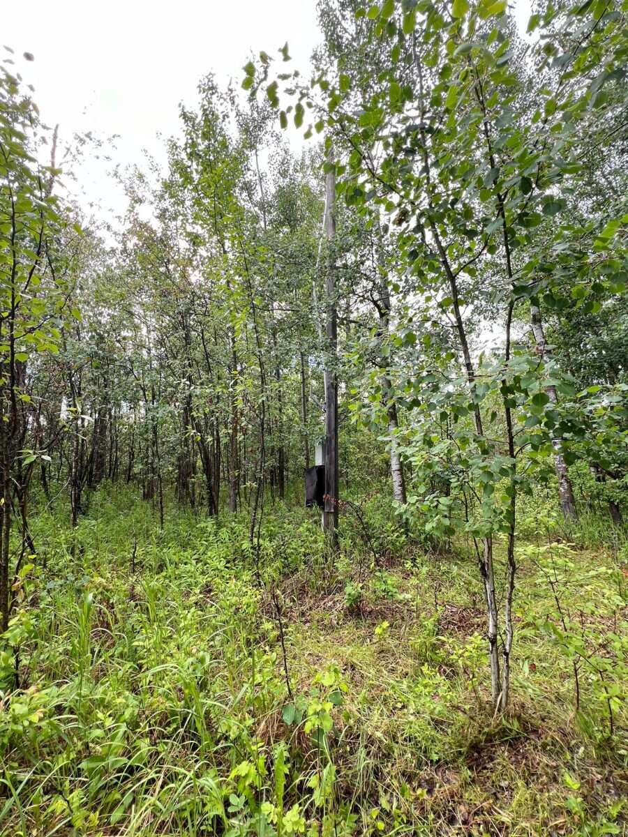 Beautiful vacant acreage lot!