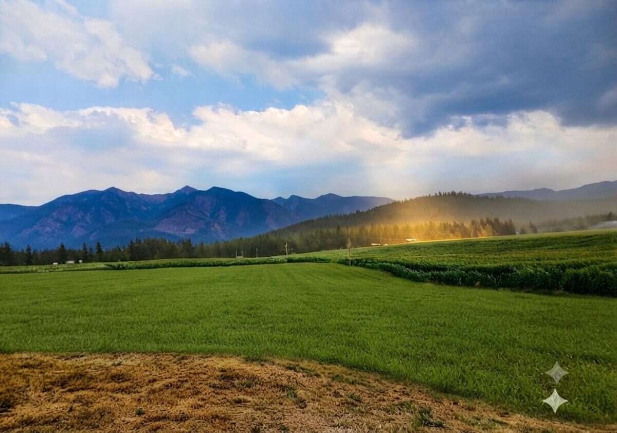 Picturesque 5-Acre Rural Retreat, Spallumcheen, BC