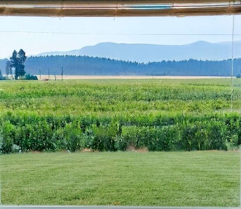Picturesque 5-Acre Rural Retreat, Spallumcheen, BC