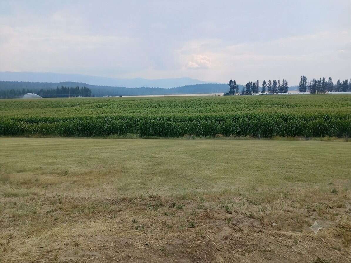 Picturesque 5-Acre Rural Retreat, Spallumcheen, BC