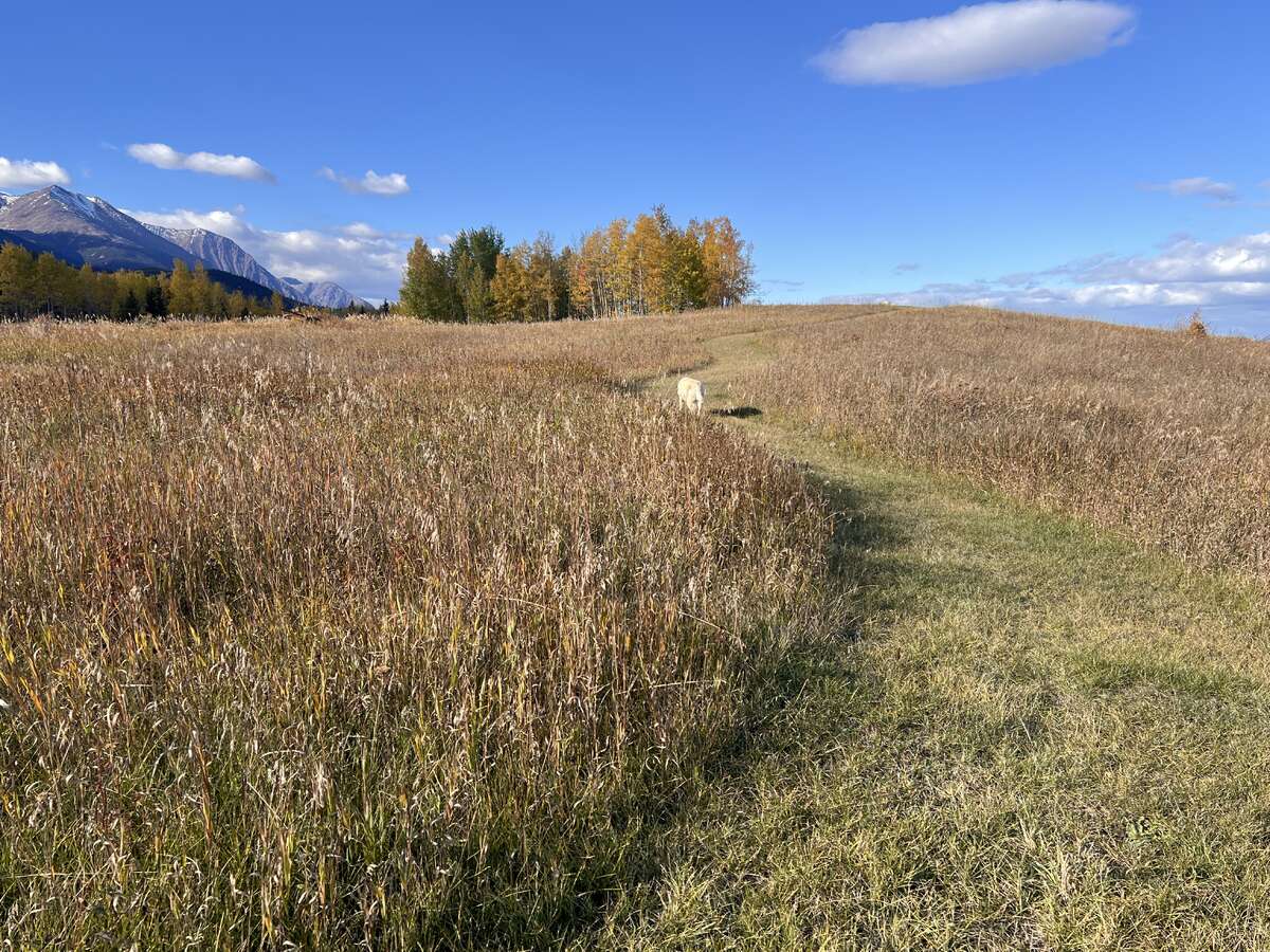 trail3