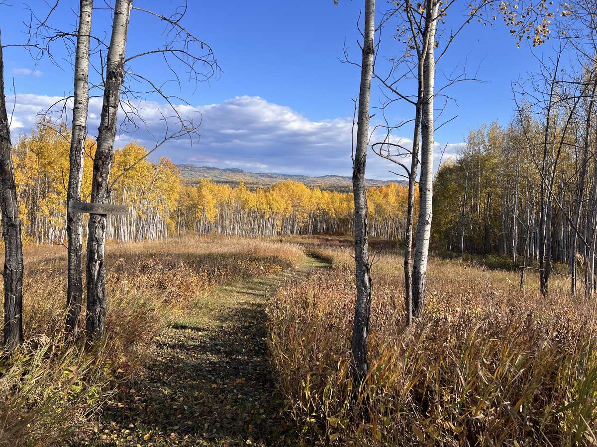 Trail