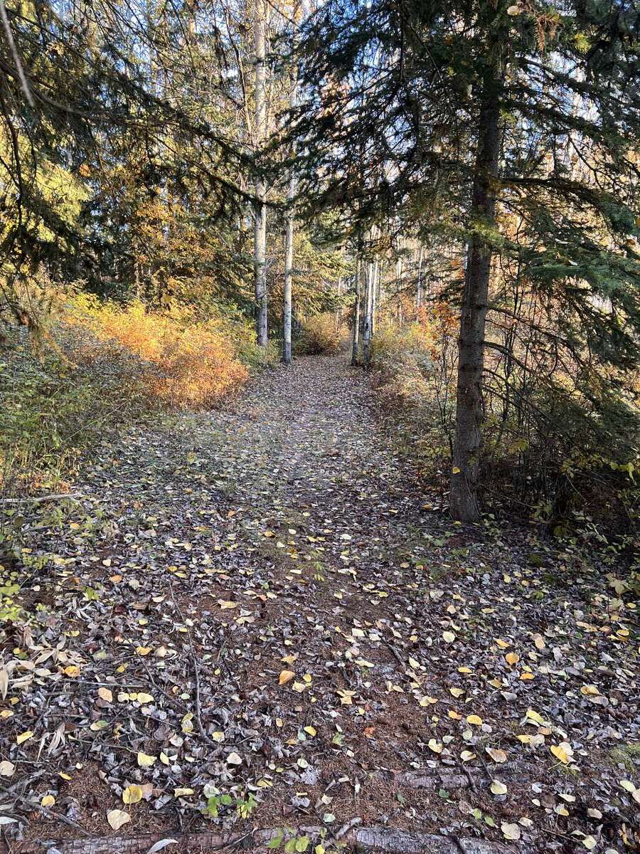 trail4