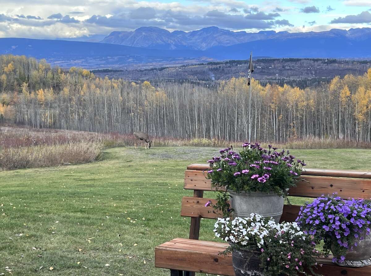 Back deck