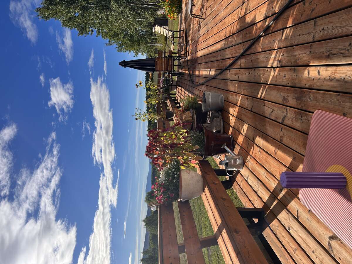 Back deck