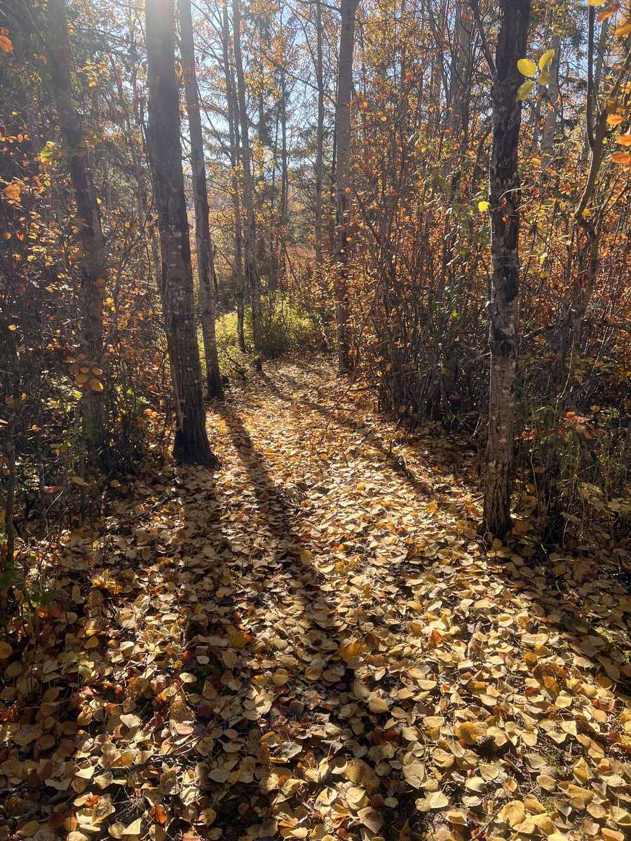 trail