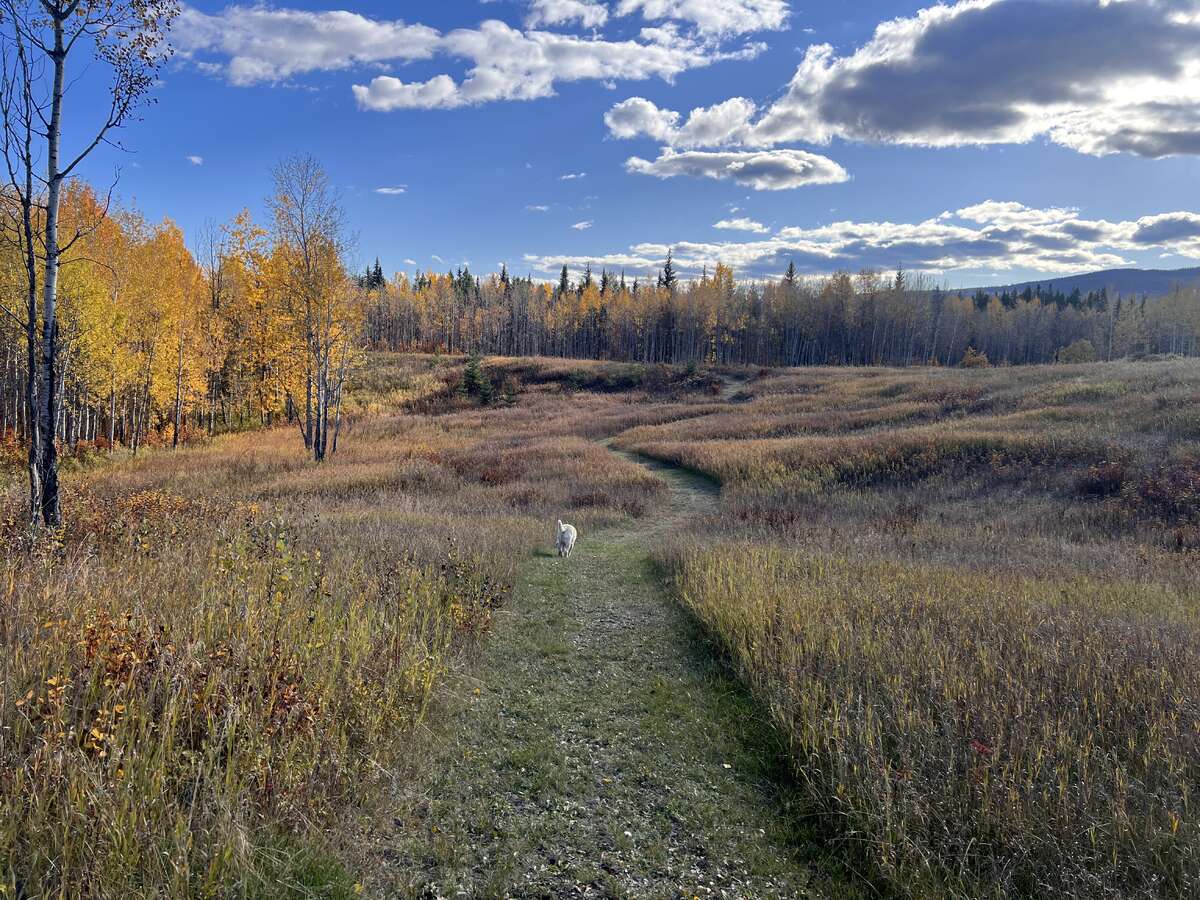 trail