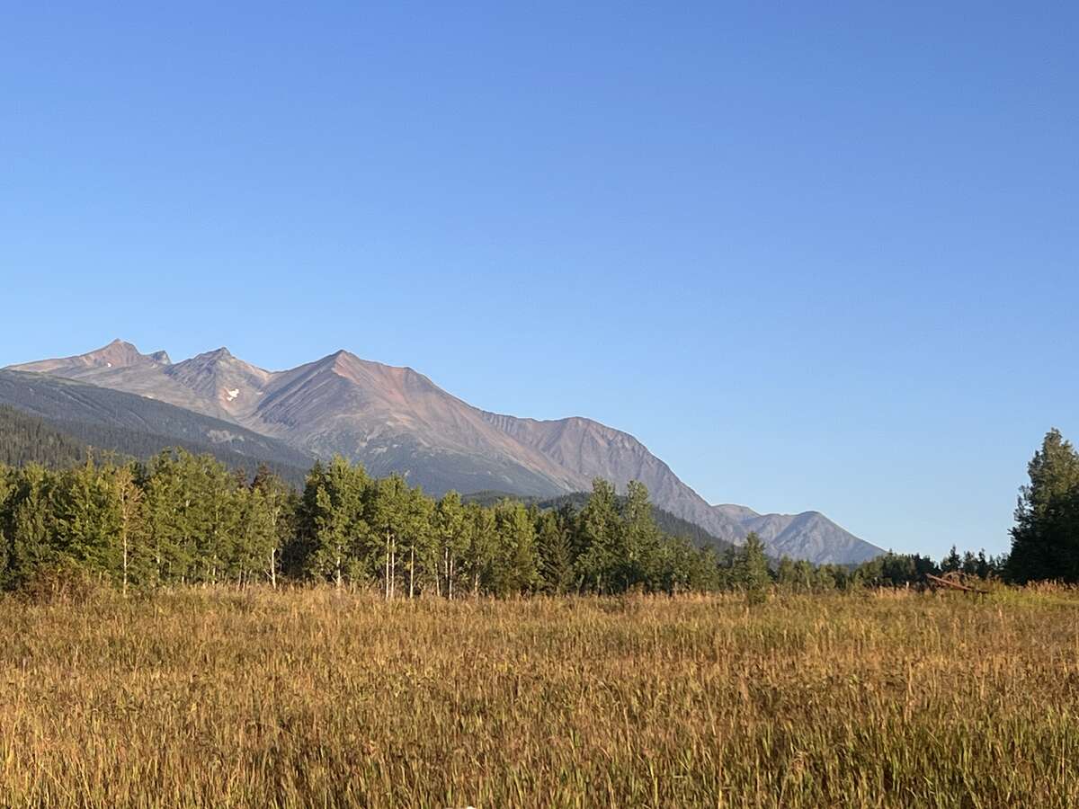 Hudson Bay Mt view in Summer