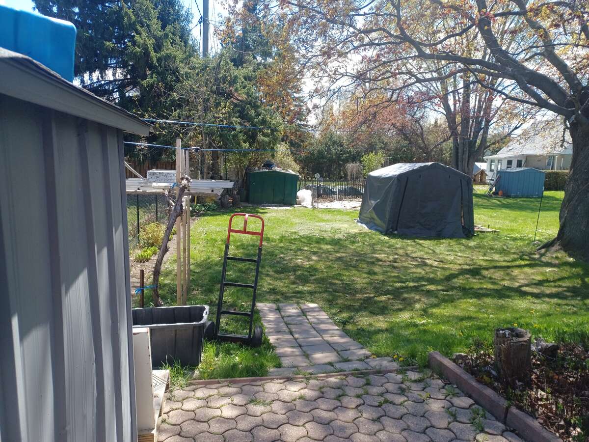 back yard
