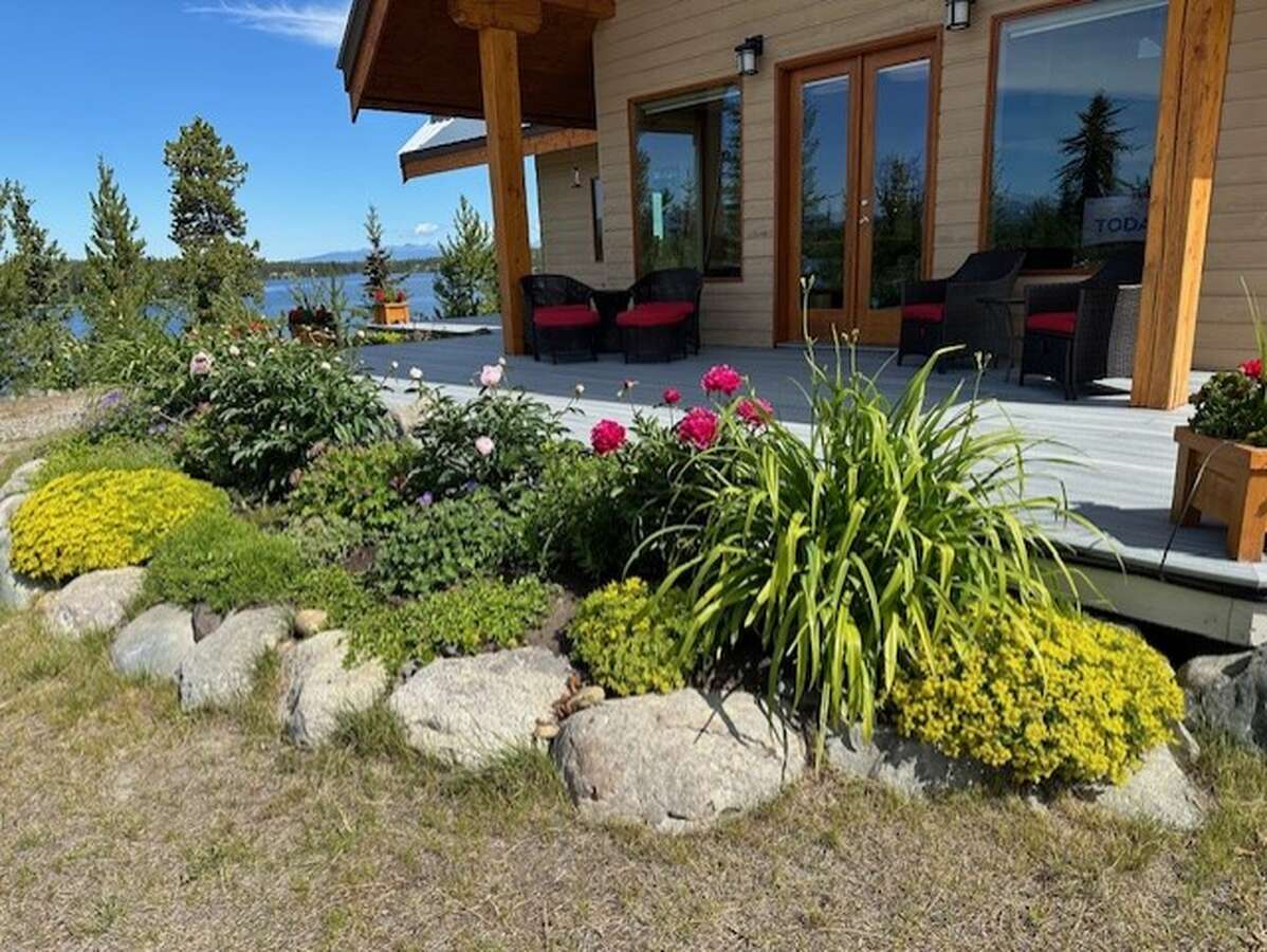 Perennial Garden