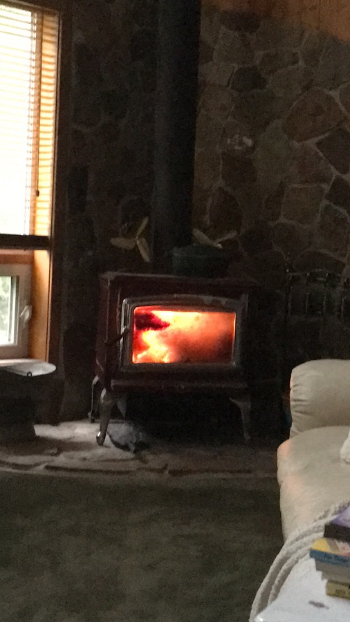 Wood burning stove in living room