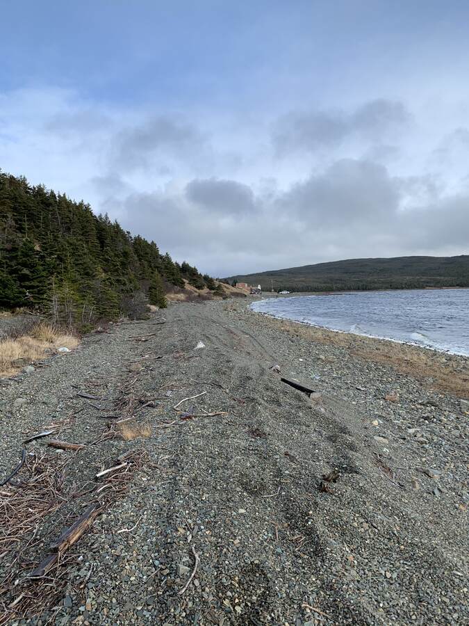 Holyrood Pond Shoreline