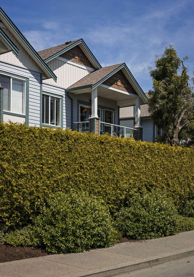 Bright & Beautiful in the Heart of Comox