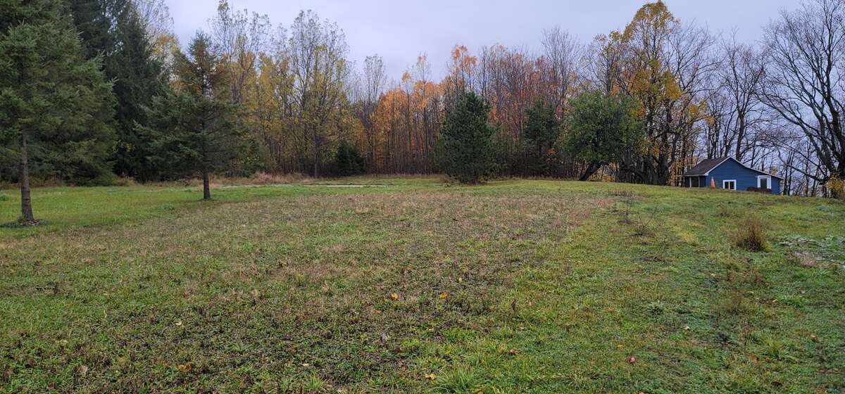 Back lawn