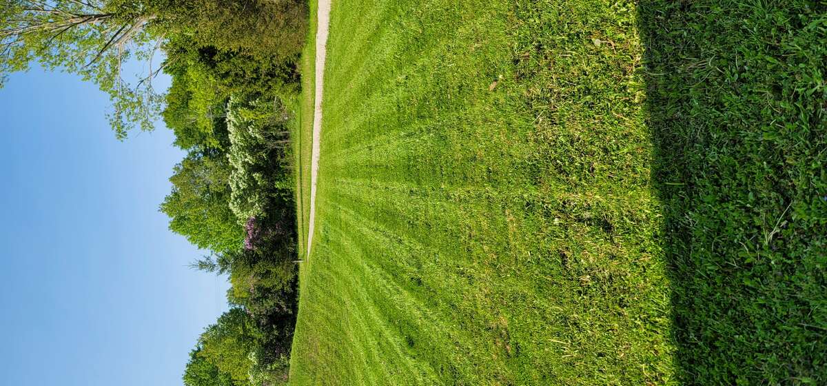 Front Lawn
